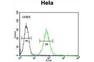 SMYD1 Antibody (C-term) flow cytometric analysis of Hela cells (right histogram) compared to a negative control cell (left histogram).