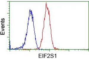 Image no. 2 for anti-Eukaryotic Translation Initiation Factor 2 Subunit 1 (EIF2S1) antibody (ABIN1497970)