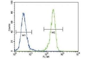 DDR1 antibody flow cytometric analysis of 293 cells (right histogram) (DDR1 Antikörper  (AA 299-330))