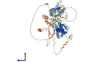 AlphaFold protein structure predicition of Human Recombinant KCNC3 Protein, UniprotID Q14003