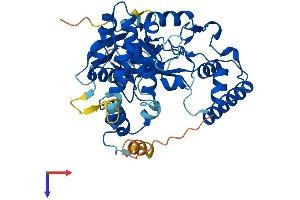SMYD5 Protein (AA 1-416) (His tag)
