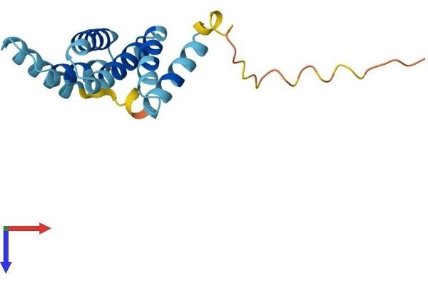 Fission 1 Protein (FIS1) (AA 1-152) (His tag)