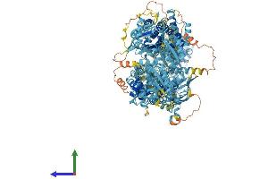 AlphaFold protein structure predicition of Human Recombinant ABCA5 Protein, UniprotID Q8WWZ7
