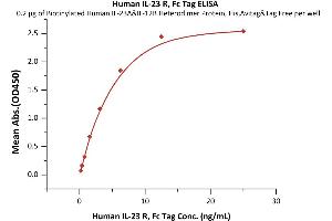 Immobilized Biotinylated Human IL-23A&IL-12B Heterodimer Protein, His,Avitag&Tag Free (ABIN4949029,ABIN4949030) at 2 μg/mL (100 μL/well) on streptavidin precoated (0. (IL23R Protein (AA 24-355) (Fc Tag))
