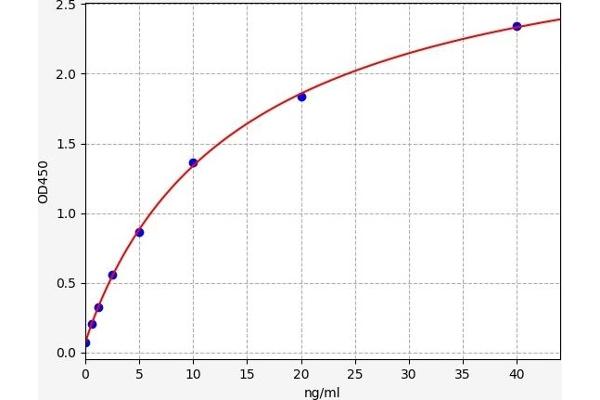 Kallikrein 8 ELISA Kit