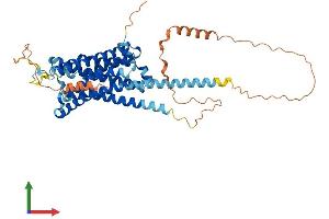 Protein Structure (PS) image for Adrenergic, alpha-2C-, Receptor (ADRA2C) (AA 1-458) protein (His tag) (ABIN7556858)