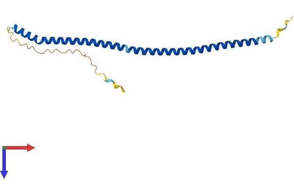 Pallidin Protein (AA 1-172) (His tag)