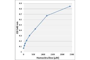 Homocitrulline standard curve