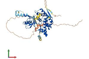 AlphaFold protein structure predicition of Mouse Recombinant Pi4k2b Protein, UniprotID Q8CBQ5