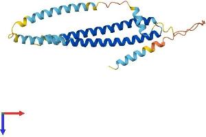 CHMP2A Protein (AA 1-222) (His tag)