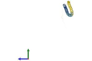 Protein Structure (PS) image for Vesicle-Associated Membrane Protein 1 (Synaptobrevin 1) (VAMP1) (AA 1-118) protein (His tag) (ABIN7545079)
