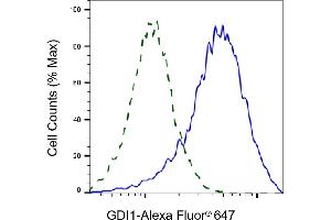 Flow cytometric analysis of GDI1 expression in HAP-1 cells using GDI1 antibody (ABIN7798700), 1:2,000).