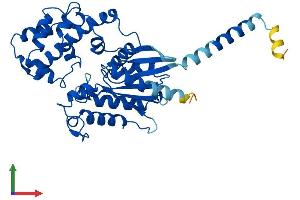 Protein Structure (PS) image for Guanine Nucleotide Binding Protein (G Protein), Q Polypeptide (GNAQ) (AA 1-359) protein (His tag) (ABIN7548121)