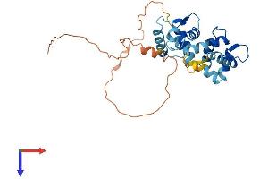 KCNIP2 Protein (AA 1-270) (His tag)