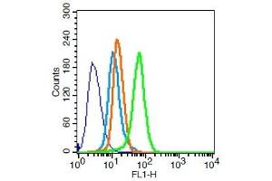Flow Cytometry (FACS) image for anti-ATP-Binding Cassette, Sub-Family B (MDR/TAP), Member 1B (ABCB1B) (AA 21-100) antibody (ABIN670161)