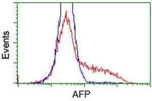 HEK293T cells transfected with either RC206622 overexpress plasmid (Red) or empty vector control plasmid (Blue) were immunostained by anti-AFP antibody (ABIN2452710), and then analyzed by flow cytometry. (alpha Fetoprotein Antikörper)