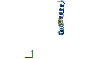 Protein Structure (PS) image for Serine Palmitoyltransferase, Small Subunit B (SPTSSB) (AA 1-76) protein (Fc Tag) (ABIN7560271)