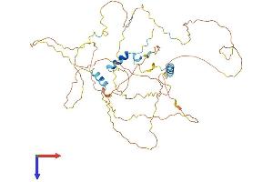 GC-Rich Promoter Binding Protein 1 (GPBP1) (AA 1-473) protein (His tag)