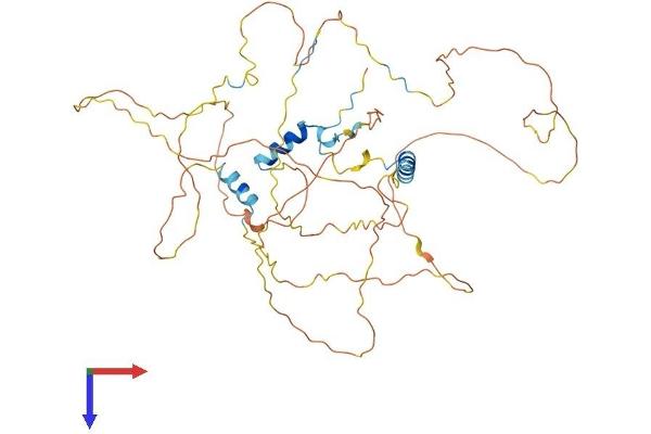 GC-Rich Promoter Binding Protein 1 (GPBP1) (AA 1-473) protein (His tag)