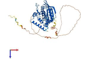 PTPN18 Protein (AA 1-460) (His tag)