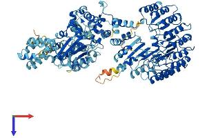 Protein Structure (PS) image for NLR Family, Pyrin Domain Containing 9B (NLRP9B) (AA 1-1003) protein (His tag) (ABIN7564001)