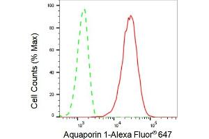 Flow cytometric analysis of Aquaporin 1 expression in C2C12 cells using Aquaporin 1 antibody (ABIN7797637), 1:2,000). (Rekombinanter Aquaporin 1 Antikörper)