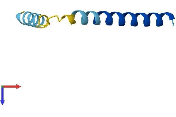Phospholamban Protein (PLN) (AA 1-52) (Fc Tag)