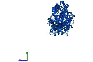Protein Structure (PS) image for Tetratricopeptide Repeat Domain 5 (TTC5) (AA 1-440) protein (His tag) (ABIN7560369)