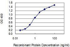 Detection limit for recombinant GST tagged F2 is 0. (Prothrombin Antikörper  (AA 263-362))