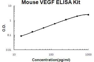 Mouse VEGF Accusignal ELISA Kit Mouse VEGF AccuSignal ELISA Kit standard curve.