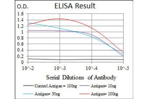 ELISA image for anti-Runt-Related Transcription Factor 3 (RUNX3) (AA 186-252) antibody (ABIN1846067)