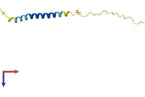 ADIG Protein (AA 1-80) (Fc Tag)