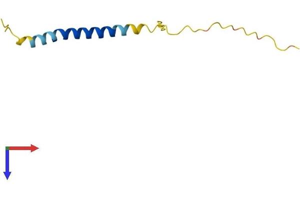 ADIG Protein (AA 1-80) (Fc Tag)