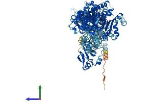 Protein Structure (PS) image for ATPase, Na+/K+ Transporting, alpha 3 Polypeptide (ATP1A3) (AA 1-1013) protein (His tag) (ABIN7552455)