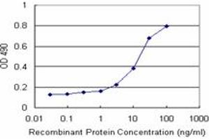 Sandwich ELISA detection sensitivity ranging from 3 ng/mL to 100 ng/mL. (SNRPA (Human) Matched Antibody Pair)