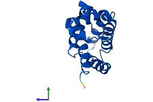 Protein Structure (PS) image for Neuroglobin (NGB) (AA 1-151) protein (His tag) (ABIN7561426)
