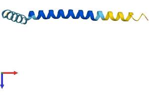 Small Integral Membrane Protein 6 (SMIM6) (AA 1-62) protein (Fc Tag)