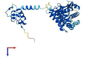 NR1I3 Protein (AA 1-352) (His tag)