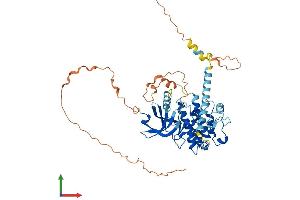 Protein Structure (PS) image for MAP Kinase Interacting serine/threonine Kinase 2 (MKNK2) (AA 1-465) protein (His tag) (ABIN7554562)