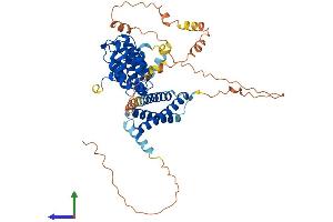 Protein Structure (PS) image for Target of Myb 1 (TOM1) (AA 1-492) protein (His tag) (ABIN7562661)
