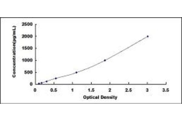 14-3-3 sigma/SFN ELISA Kit