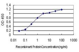 Detection limit for recombinant GST tagged TSC22D3 is approximately 0. (TSC22D3 Antikörper  (AA 1-97))