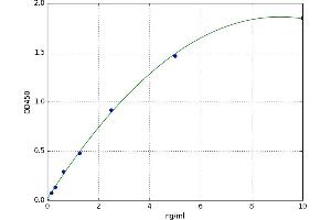 Erythroferrone (ERFE) ELISA Kit