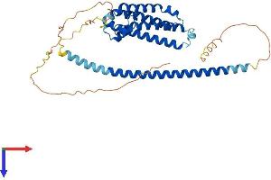 FBXO28 Protein (AA 1-368) (His tag)