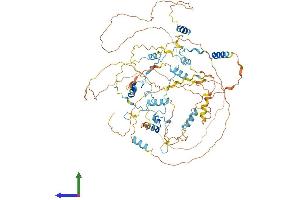 AlphaFold protein structure predicition of Mouse Recombinant Cast Protein, UniprotID P51125