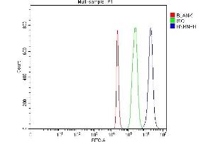 Flow Cytometry analysis of 293T cells using anti-HnRNP H/HNRNPH1 antibody (ABIN4886623).