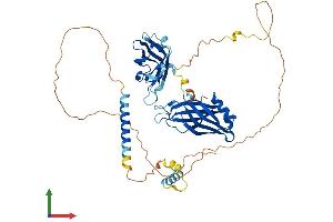 Protein Structure (PS) image for Synaptotagmin VI (SYT6) (AA 1-510) protein (His tag) (ABIN7544065)