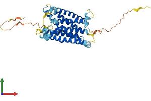 Protein Structure (PS) image for MAS-Related GPR, Member F (Mrgprf) (AA 1-343) protein (His tag) (ABIN7549493)