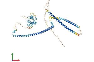 AlphaFold protein structure predicition of Mouse Recombinant Rassf9 Protein, UniprotID Q8K342