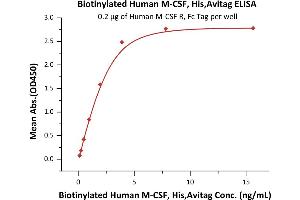 ELISA image for Colony Stimulating Factor 1 (Macrophage) (CSF1) (AA 33-255) (Active) protein (His tag,AVI tag,Biotin) (ABIN6386447)